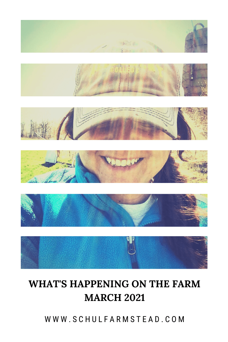 What’s Happening on the Farm: March&nbsp;2021