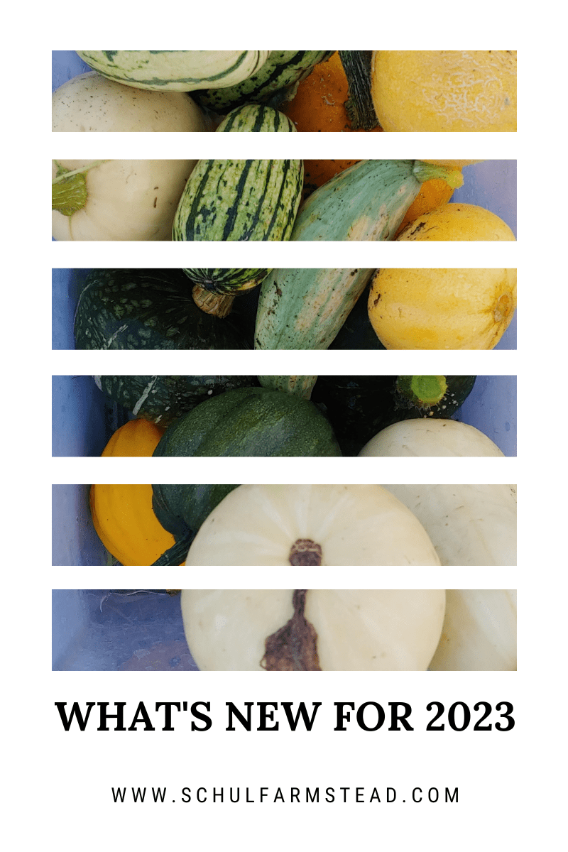 What’s New for&nbsp;2023