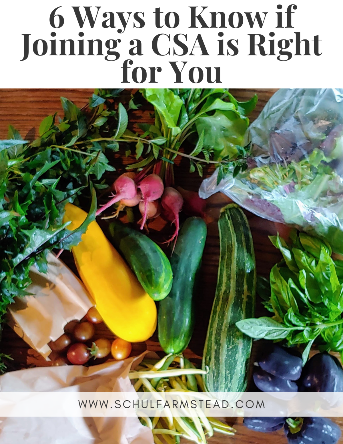6 Ways to Know if Joining a CSA is Right for&nbsp;You