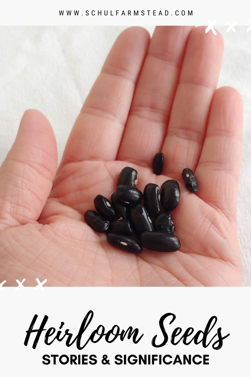 Heirloom Seeds: Stories &&nbsp;Significance