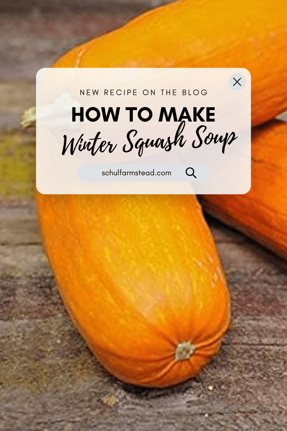 How to Make: Winter Squash&nbsp;Soup