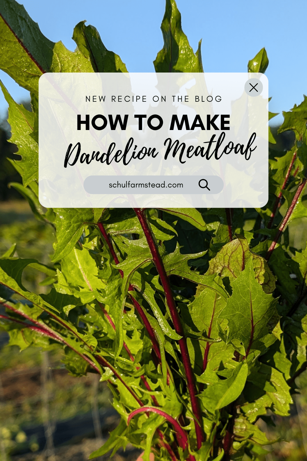 How to Make: Dandelion&nbsp;Meatloaf