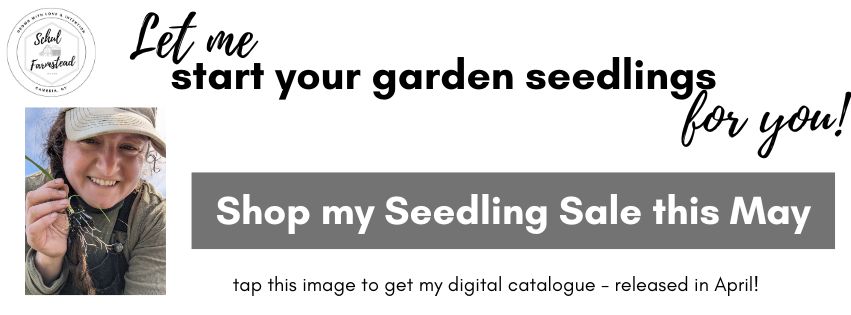 Let me start your garden seedlings for you! Shop my Seedling Sale this May. Tap this image to get my digital catalogue, released in April. 