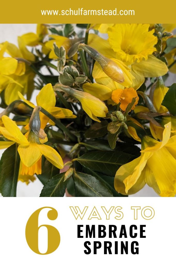 6 Ways to Embrace Spring – Schul Farmstead