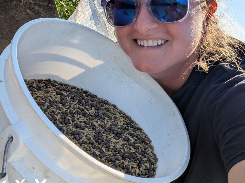 Regenerative Practices for the Home&nbsp;Garden